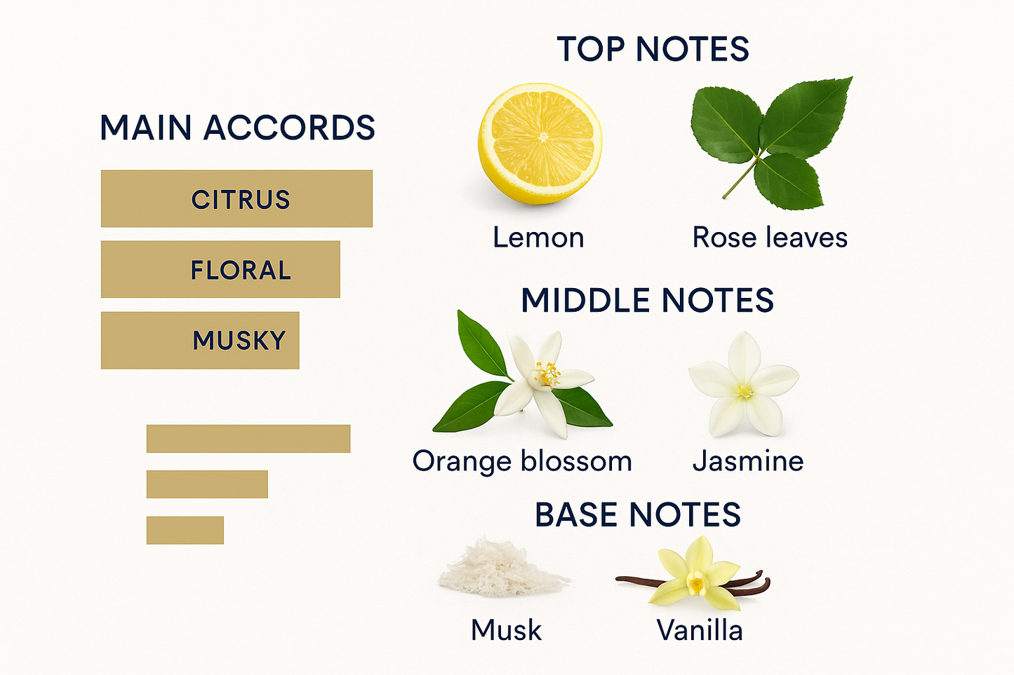 Louis Vuitton City of Stars Eau de Parfum 100ml