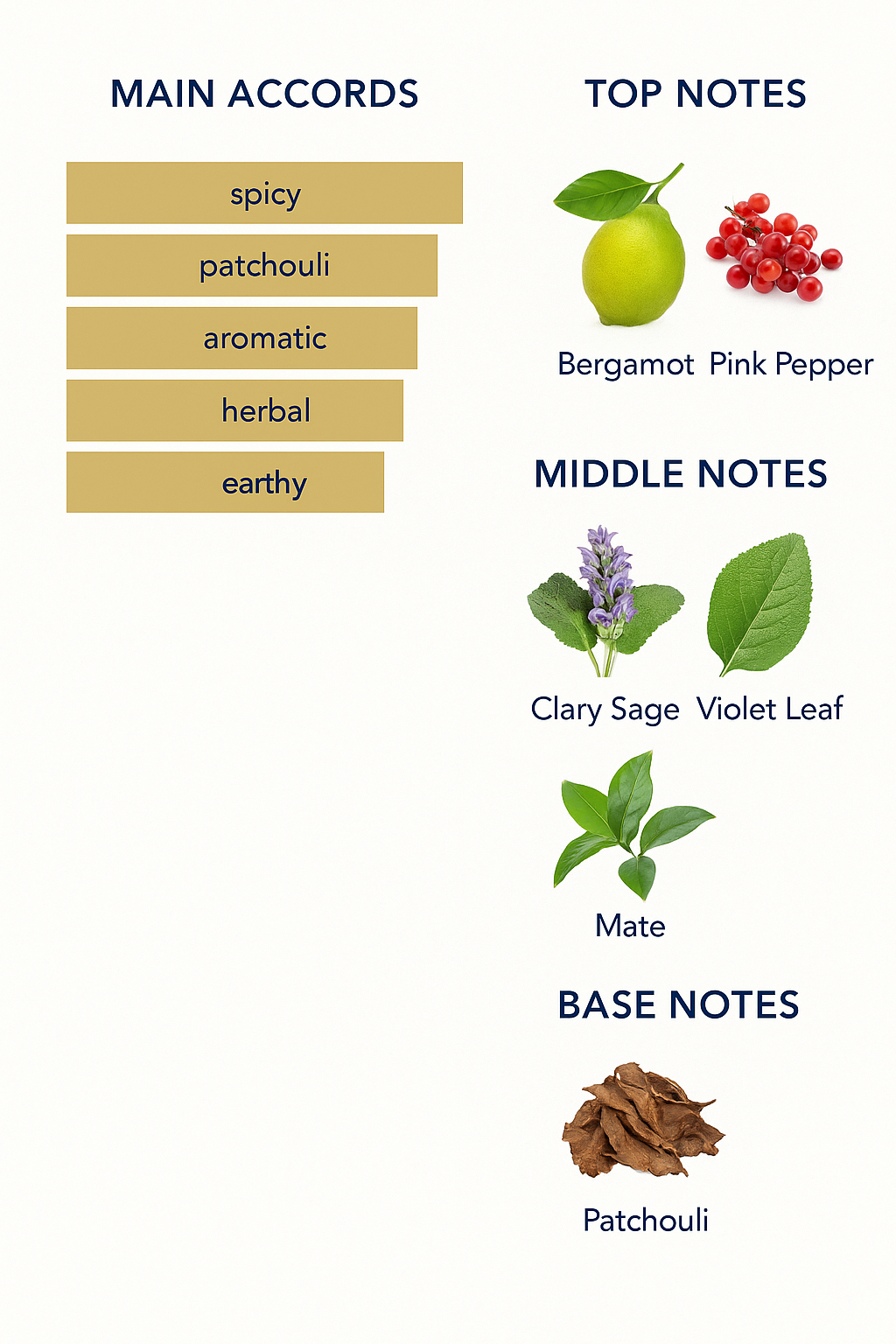 Tester Diptyque Tempo Parfum 75ml