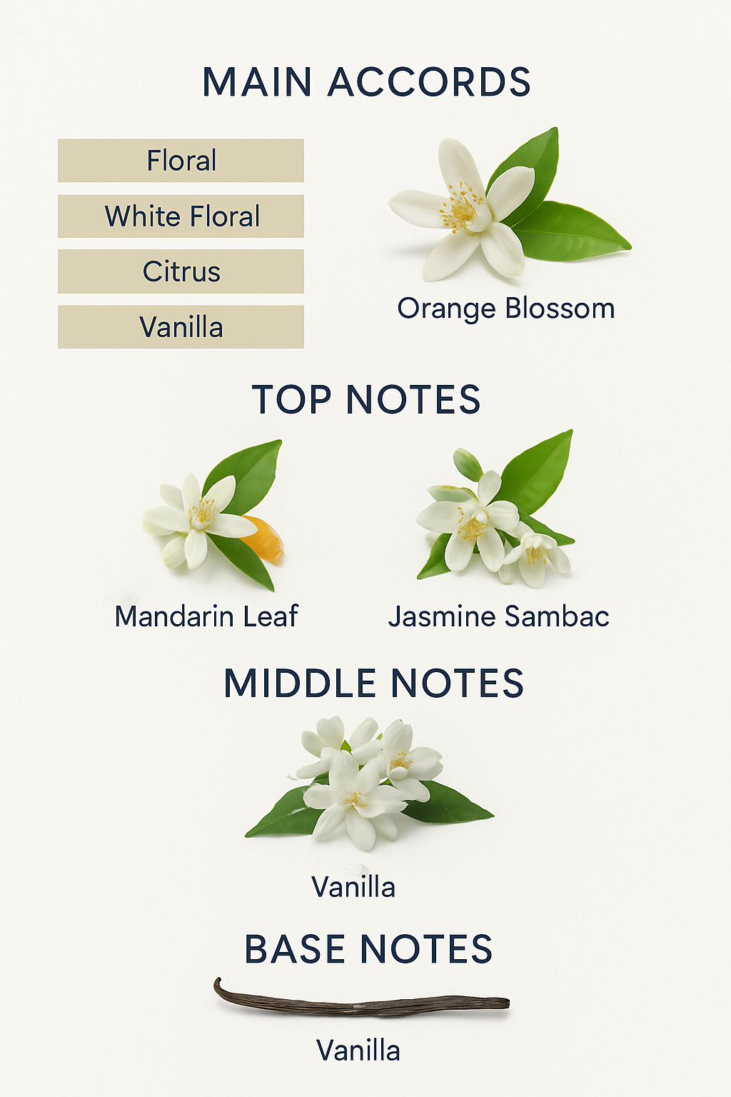 Dior Addict Eau de Parfum for Women 100ml