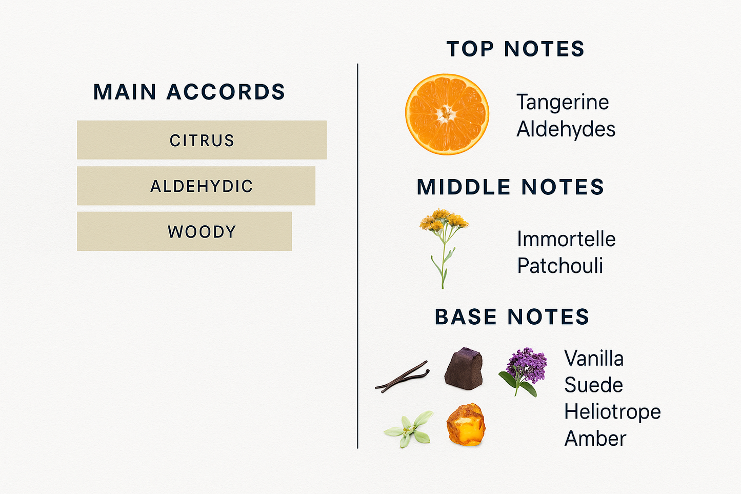 Despacito Basilion Extrait De Parfum Sample - 15 ml