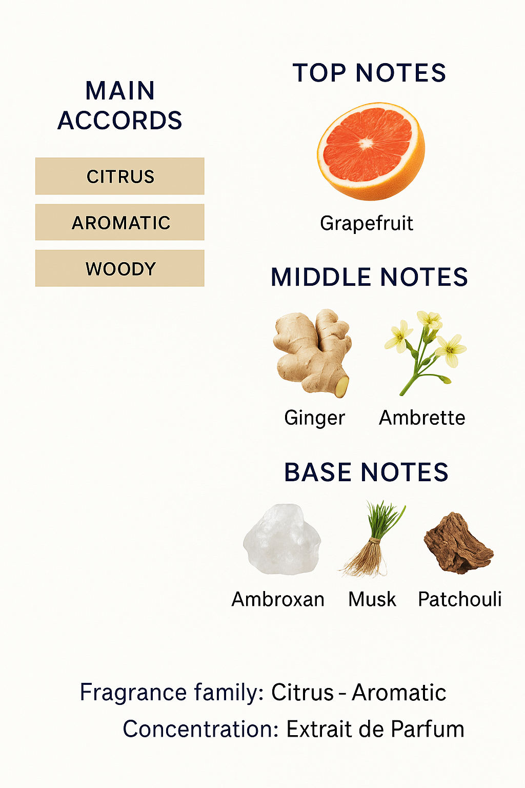 Despacito Vitrogen Extrait De Parfum Sample - 15 ml