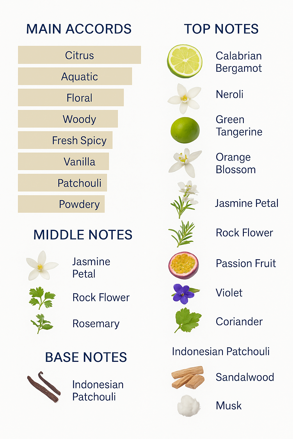 Armani perfume collection for men and women