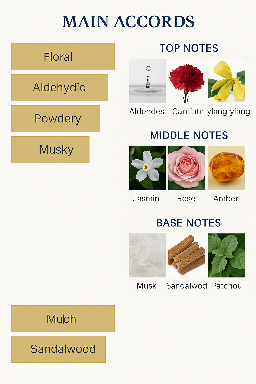 Memories Perfume Collection