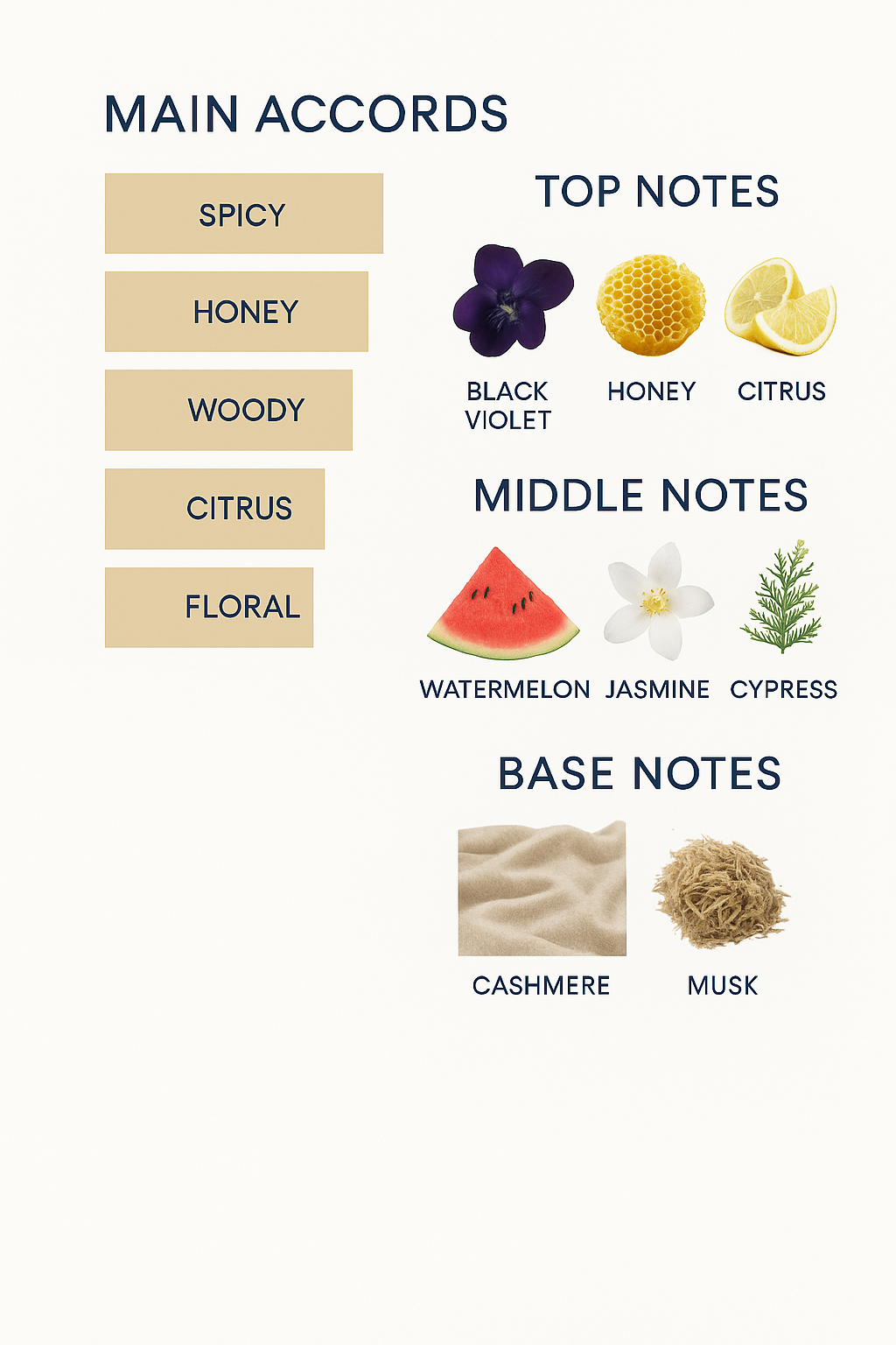 Roberto Cavalli Uomo Luxury Collection