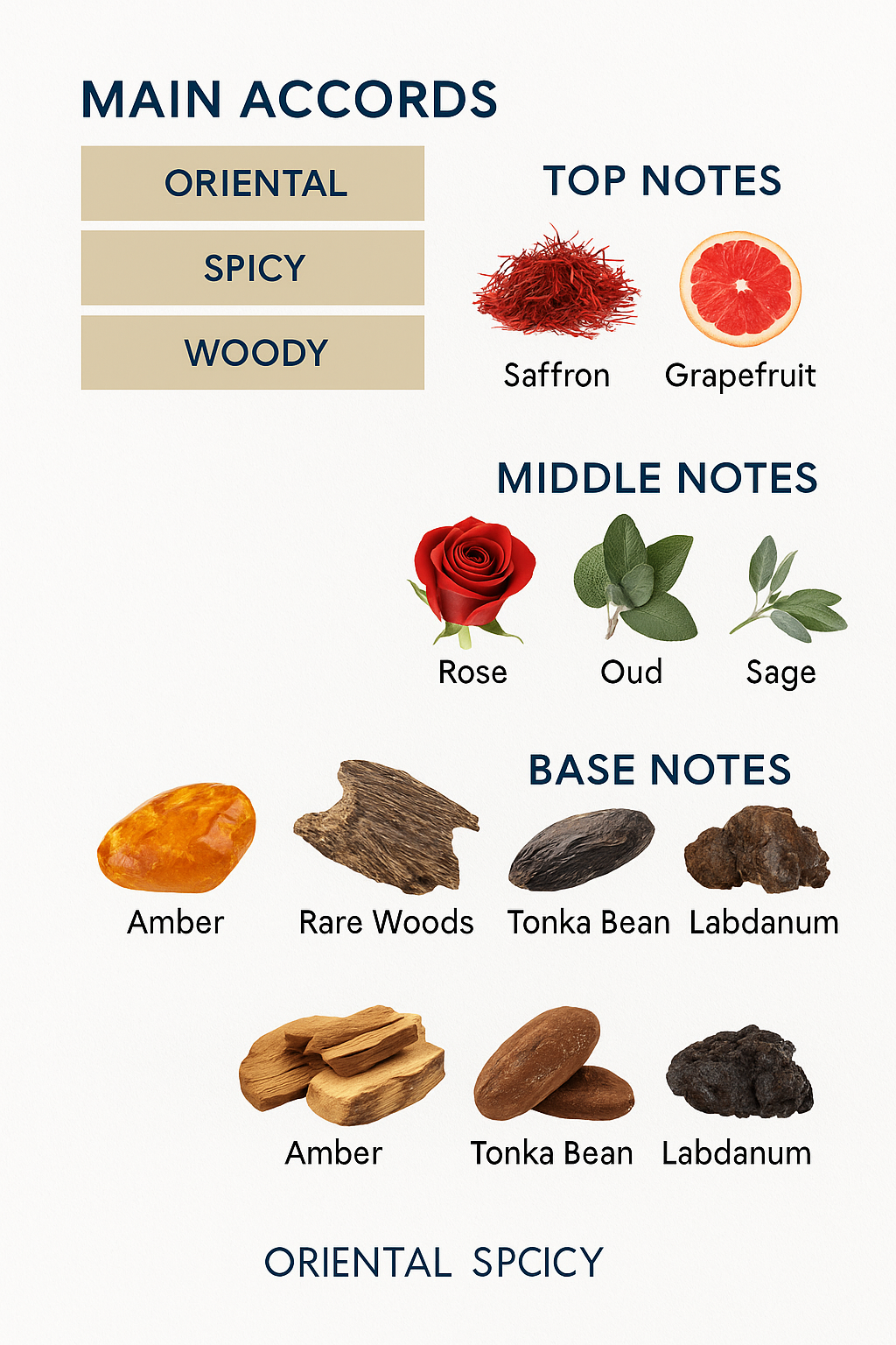 Dolce & Gabbana Magical Night Eau de Parfum 100ml (Tester)