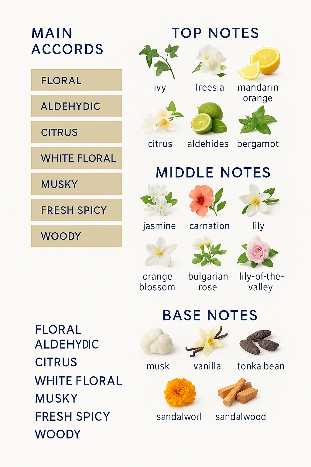 Dolce & Gabbana Red for Women Eau de Toilette 100ml (Classic) Tester