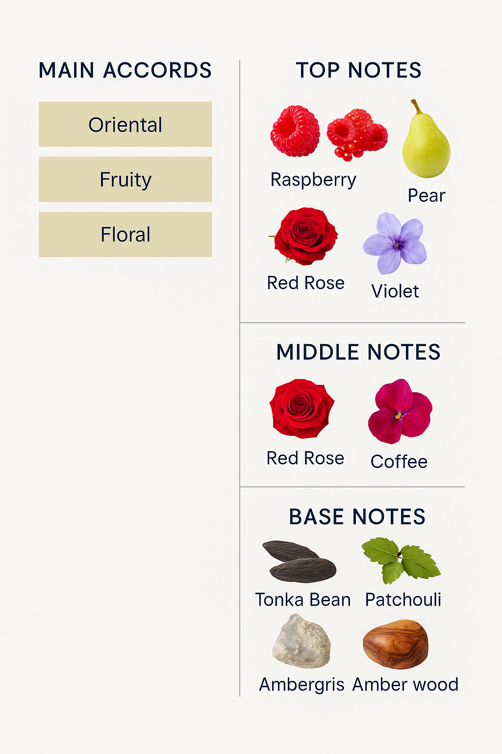 Dolce & Gabbana The Only One 2 Eau de Parfum for Women 50ml