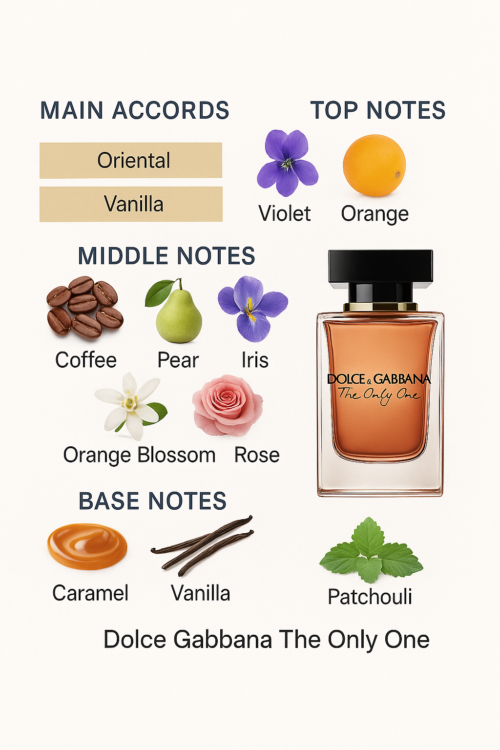 Dolce & Gabbana The Only One Eau de Parfum 100ml