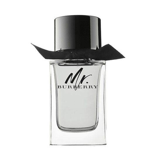 Mr. Burberry Eau de Toilette for Men 100ml