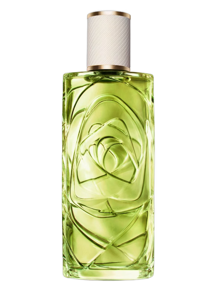 Off Now Lancôme for women and men