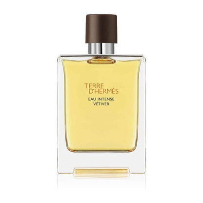 Hermes Terre d'Hermes Intense Vetiver Eau de Parfum for Men 100ml